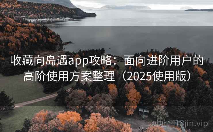 收藏向岛遇app攻略：面向进阶用户的高阶使用方案整理（2025使用版）