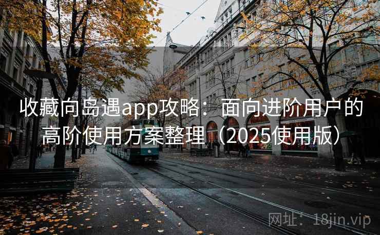 收藏向岛遇app攻略：面向进阶用户的高阶使用方案整理（2025使用版）