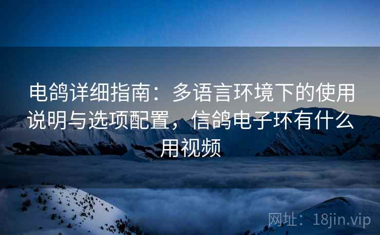 电鸽详细指南:多语言环境下的使用说明与选项配置,信鸽电子环有什么用视频 电鸽详细指南:多语言环境下的使用说明与选项配置,信鸽电子环有什么用视频