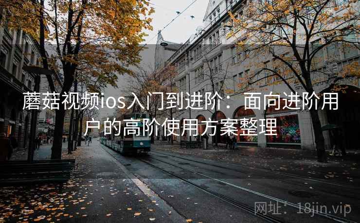 蘑菇视频ios入门到进阶：面向进阶用户的高阶使用方案整理