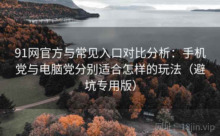 91网官方与常见入口对比分析：手机党与电脑党分别适合怎样的玩法（避坑专用版）