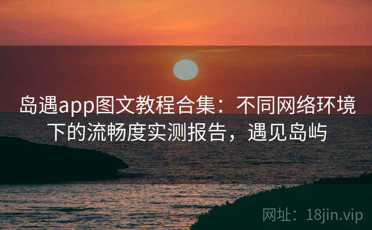 岛遇app图文教程合集：不同网络环境下的流畅度实测报告，遇见岛屿