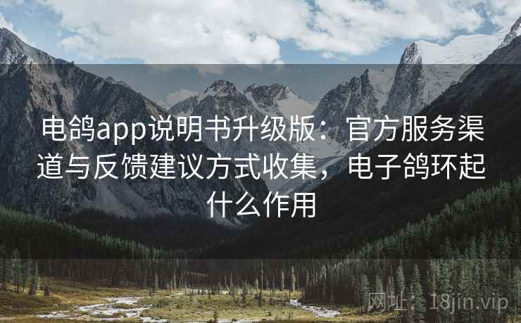 电鸽app说明书升级版：官方服务渠道与反馈建议方式收集，电子鸽环起什么作用