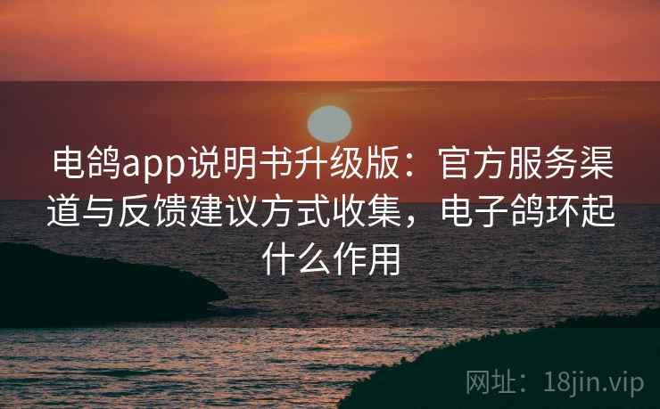 电鸽app说明书升级版：官方服务渠道与反馈建议方式收集，电子鸽环起什么作用