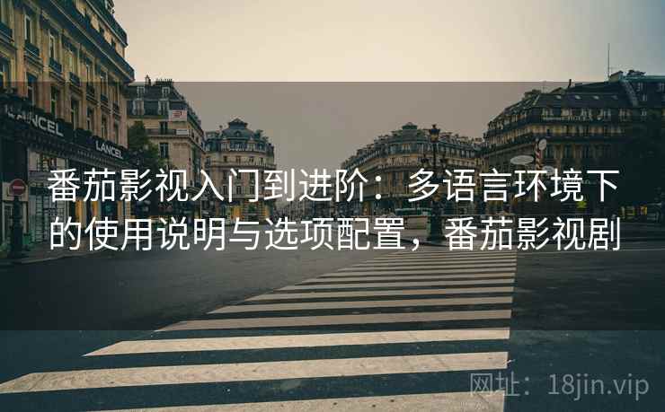 番茄影视入门到进阶：多语言环境下的使用说明与选项配置，番茄影视剧