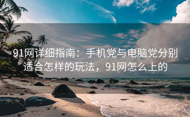 91网详细指南：手机党与电脑党分别适合怎样的玩法，91网怎么上的