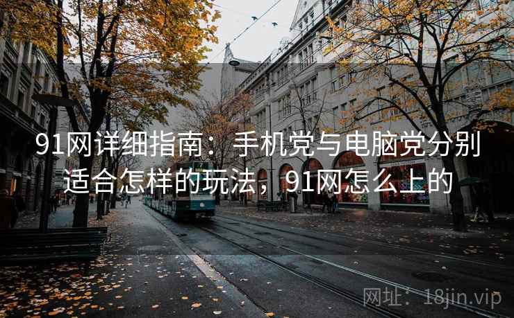 91网详细指南：手机党与电脑党分别适合怎样的玩法，91网怎么上的