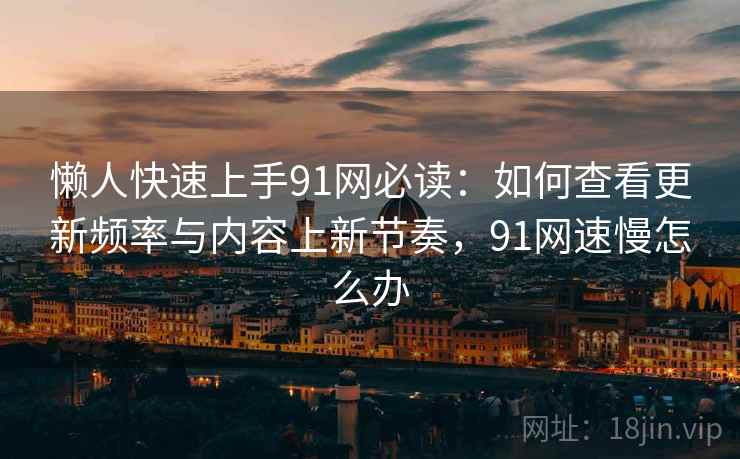 懒人快速上手91网必读：如何查看更新频率与内容上新节奏，91网速慢怎么办