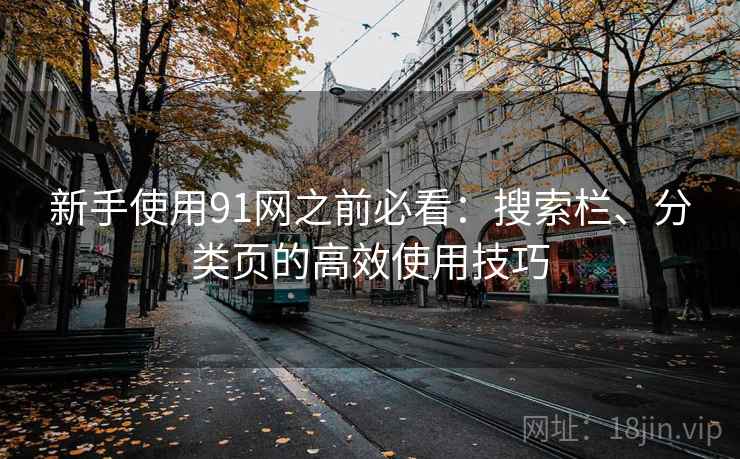 新手使用91网之前必看：搜索栏、分类页的高效使用技巧