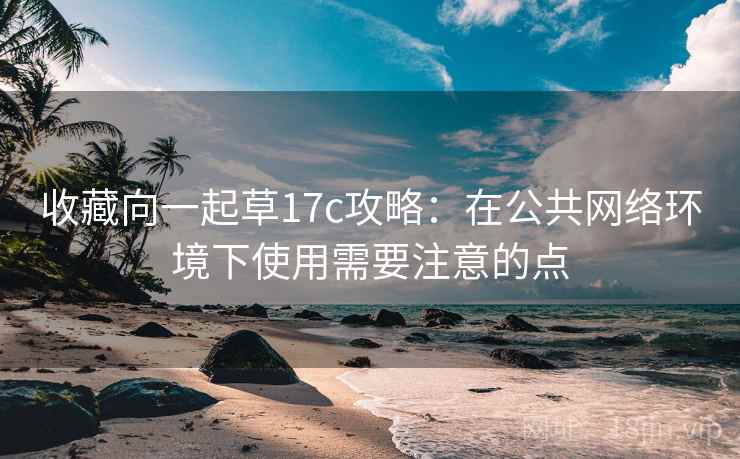 收藏向一起草17c攻略：在公共网络环境下使用需要注意的点