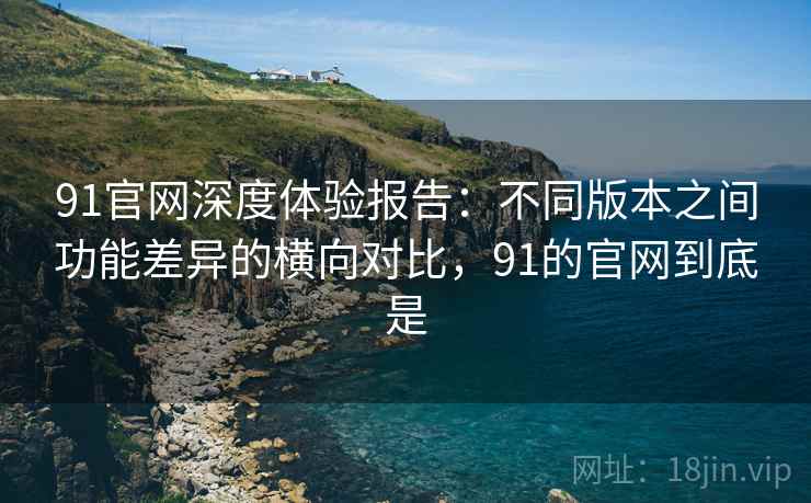 91官网深度体验报告：不同版本之间功能差异的横向对比，91的官网到底是