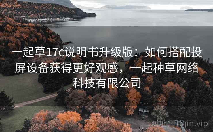 一起草17c说明书升级版：如何搭配投屏设备获得更好观感，一起种草网络科技有限公司