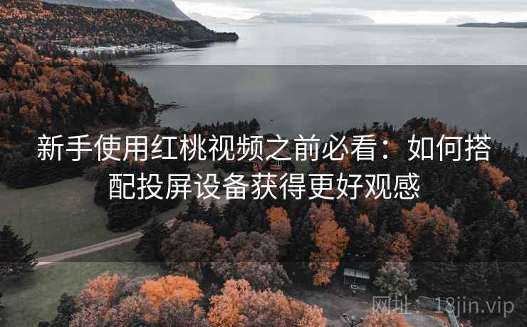 新手使用红桃视频之前必看：如何搭配投屏设备获得更好观感